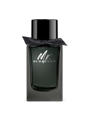 Burberry Mr. Burberry eau de parfum 100ml