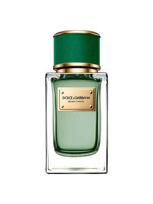 Dolce & Gabbana Velvet Cypress Unisex Eau De Parfum 50ml